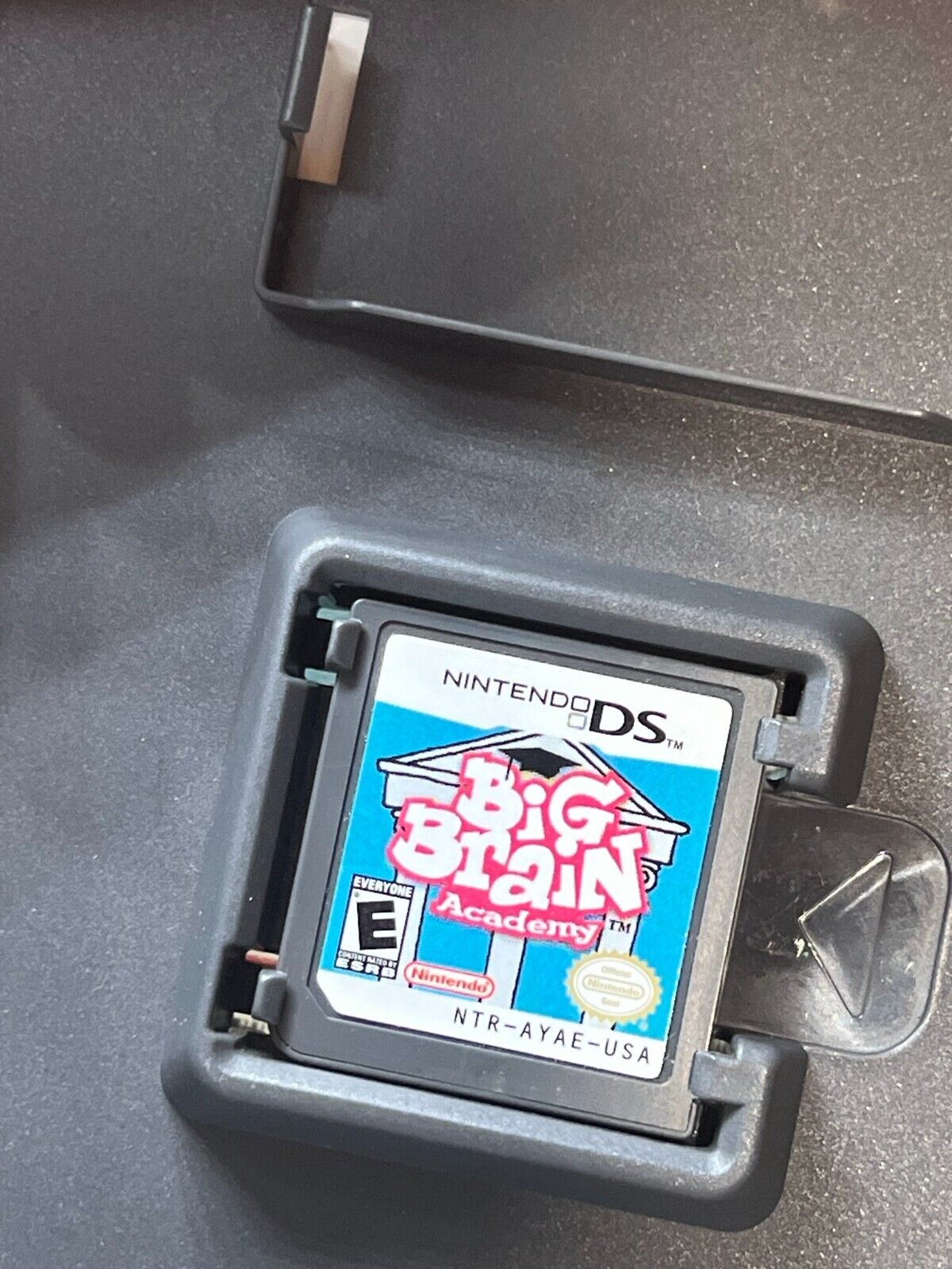 Big Brain Academy (Nintendo DS, 2006) - Tested