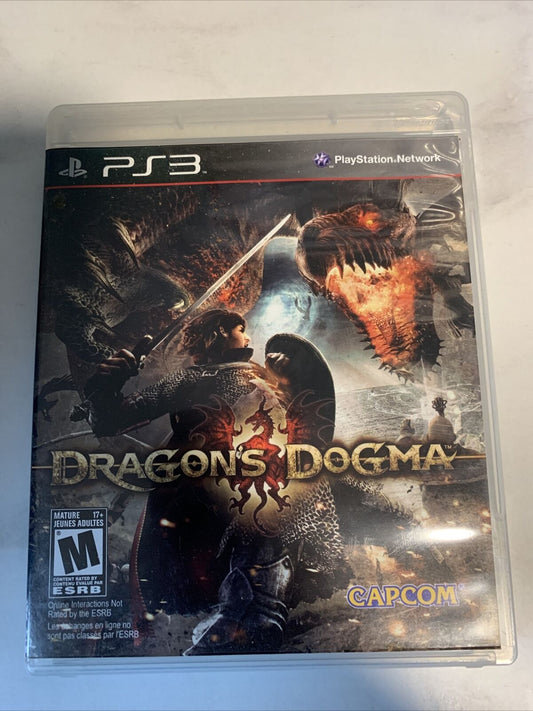 Dragon's Dogma (Sony PlayStation 3, 2012)