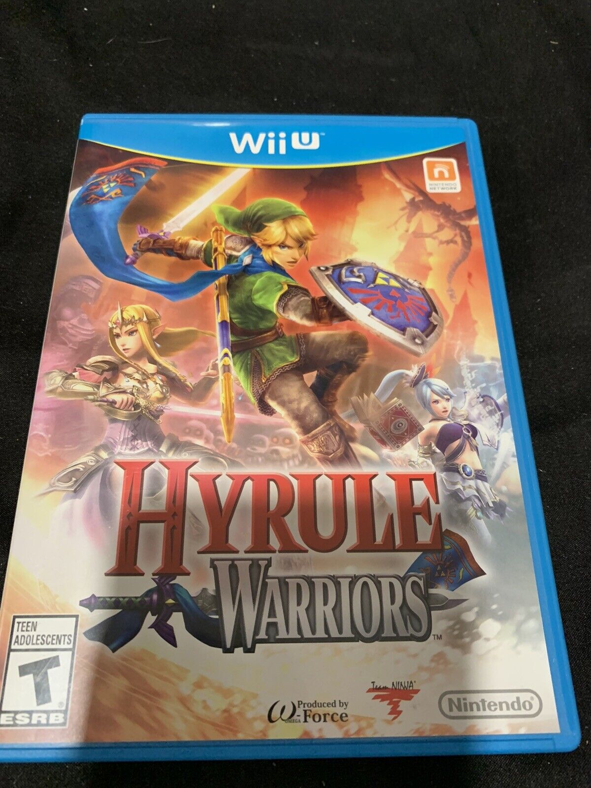 Hyrule Warriors (Wii U, 2014)